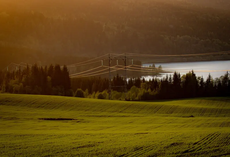 En kraftlinje krysser en grønn åker foran skog og et vann i solnedgang